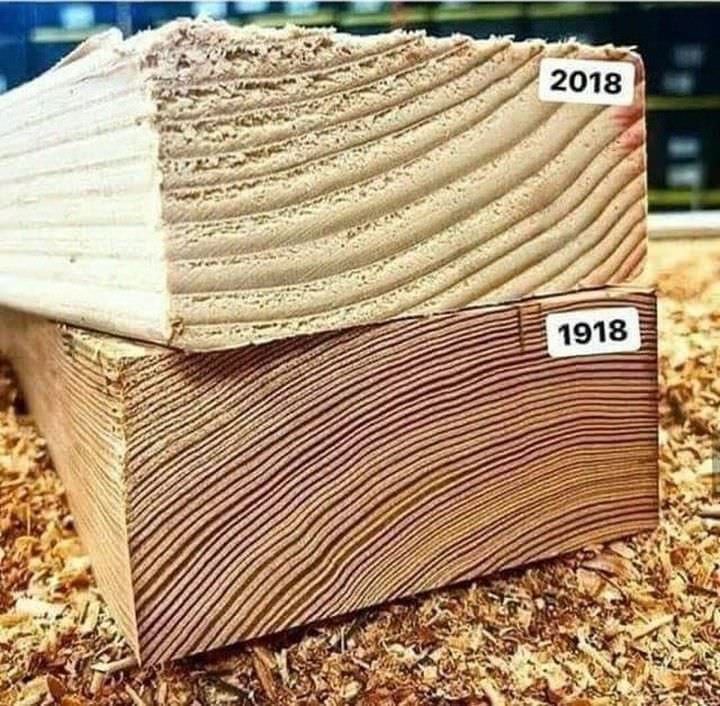 <p style="text-align:right; padding-right:500px;">
  <small style="color:#888;">Photo credit: Reddit.com</small>
</p>

